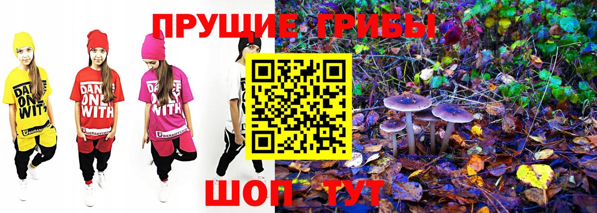 Электросталь  Псилоцибиновые грибы мухоморы  наркошоп  Вход с VPN 