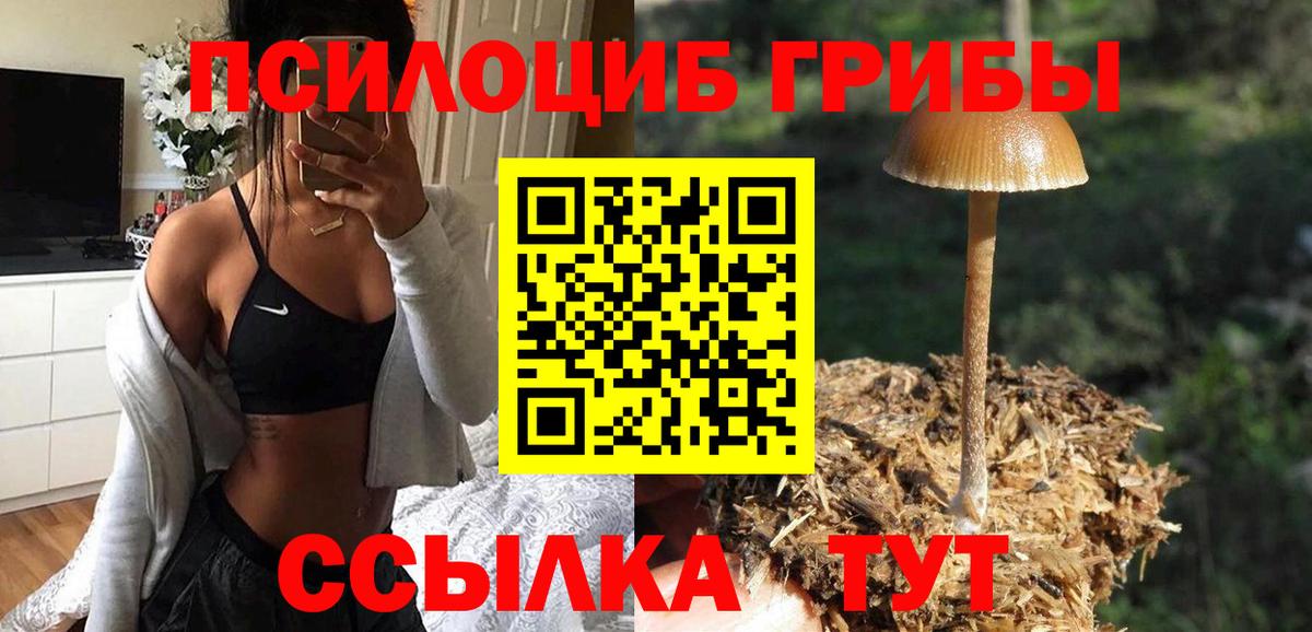 Галлюциногенные грибы Psilocybe Электросталь